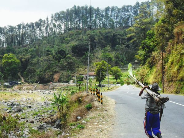 50 Air Terjun Coban Pelangi Malang Pictures Hd Download