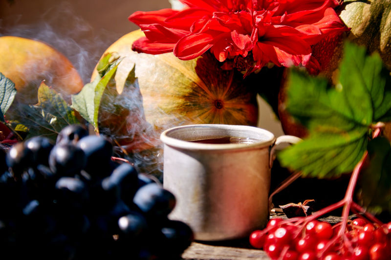 Natural cozy still life -mug of tea, grapes, viburnum in rustic style. autumn aesthetic red georgine