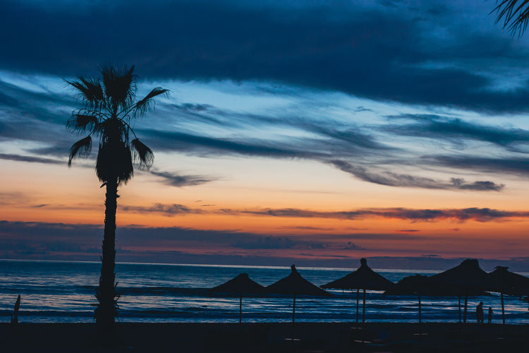 Silhouette palm trees on beach against sky during sunset
