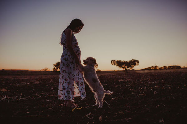 Pregnant woman with dog standing on field against clear sky during sunset