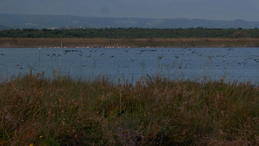 Scenic view of lake against sky