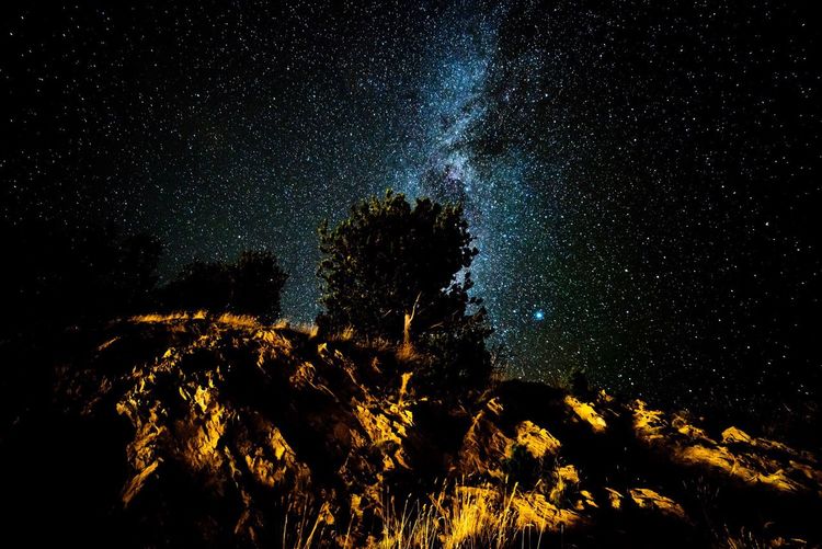 Low angle view of star field against star field