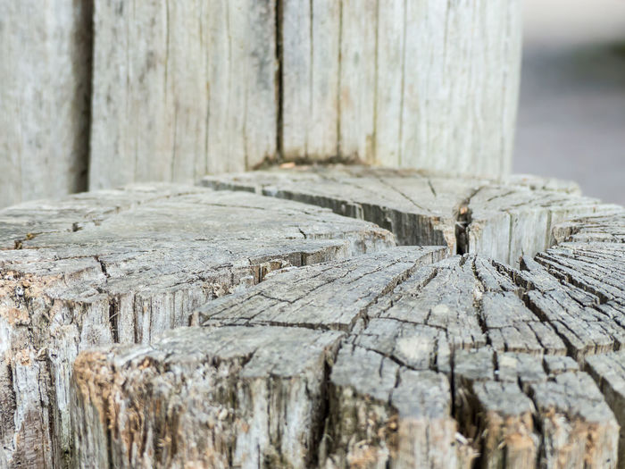 Close-up of wooden posts