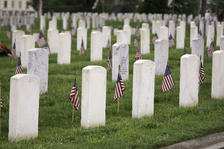 American flags on grassy field at cemetery