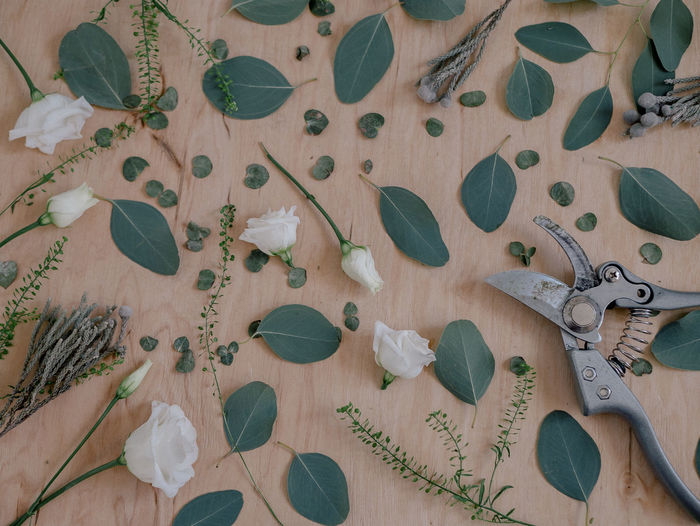 High angle view of plant parts and pruning shears on table