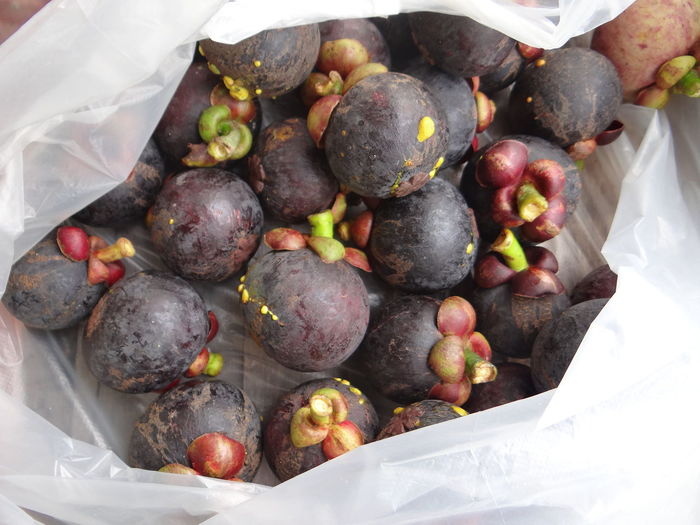 Mangosteen in a plastic bag, mangosteen is the queen of fruits.