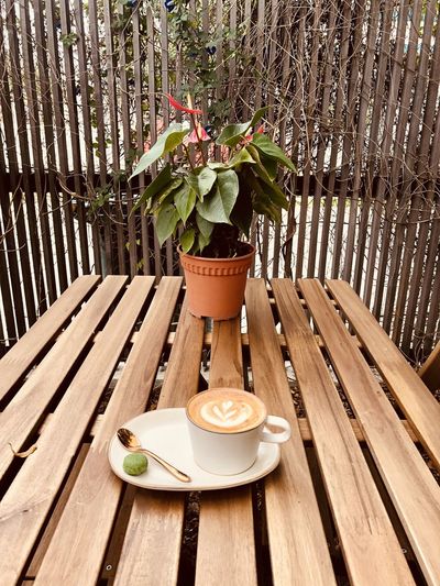 Coffee and potted plant on table