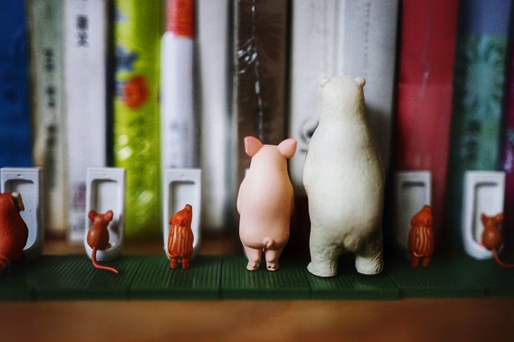 View of stuffed toys