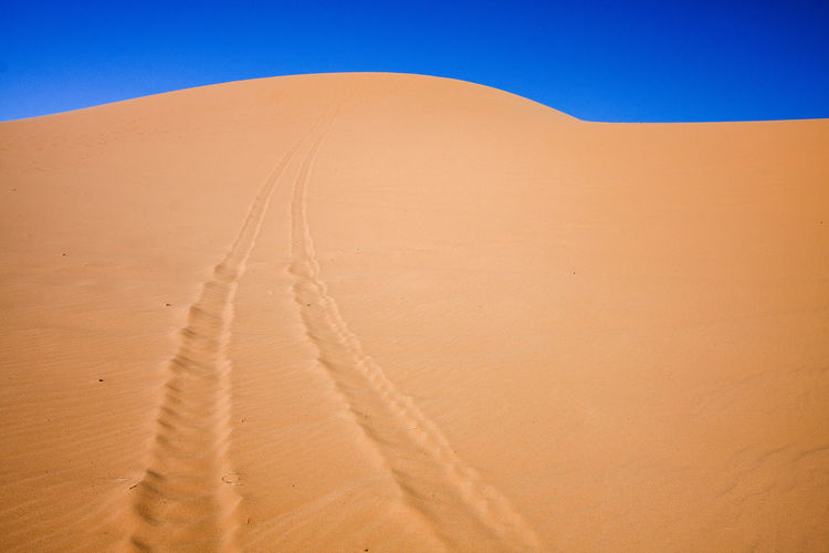 Jeep tracks on a trail at coral pink sand dunes state park, utah.