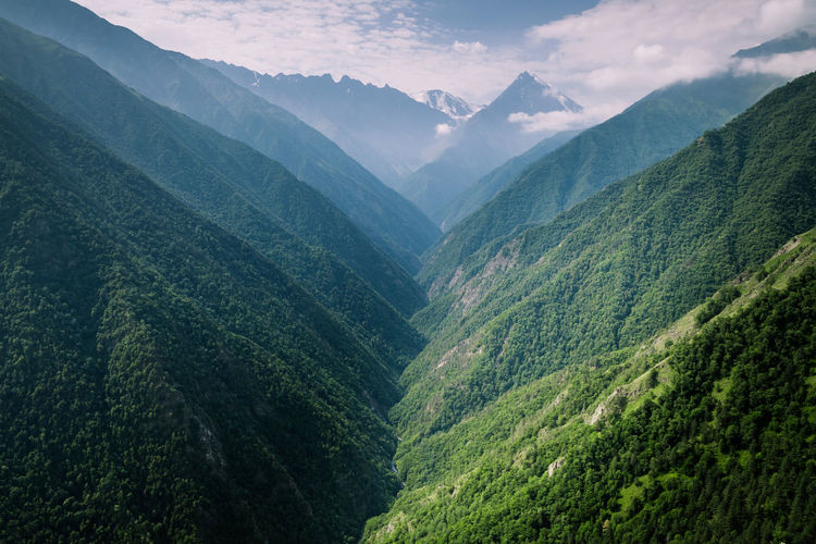 Mountain gorge in chechnya and the top of mount dikslosmta