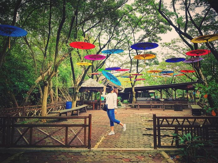 Rear view of woman with umbrella walking in rain