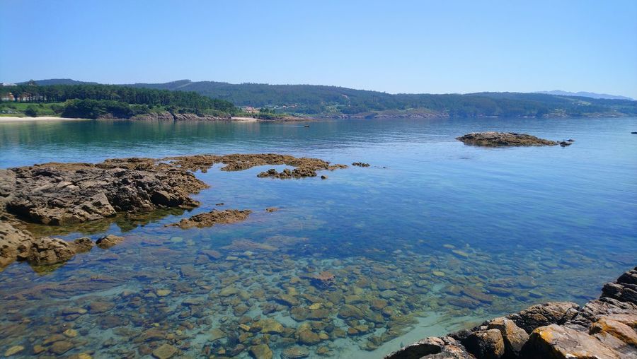 Scenic view of sea against clear blue sky