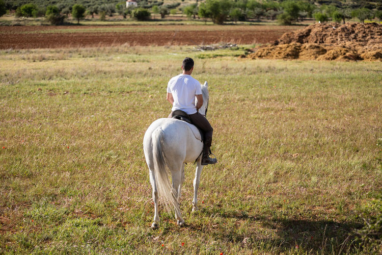 Rear view of man riding horse