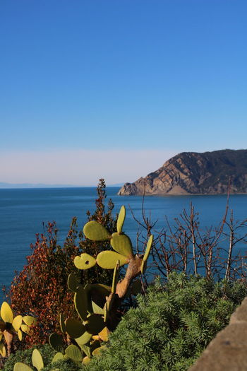 Scenic view of sea against clear blue sky