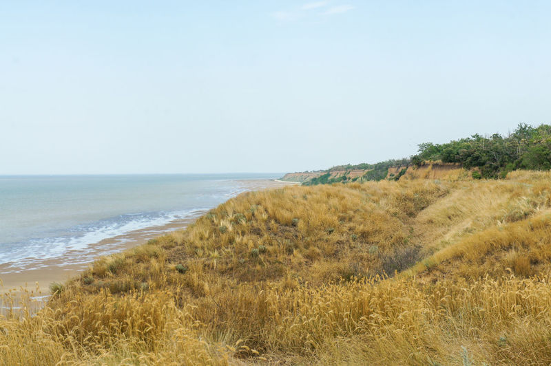 sea