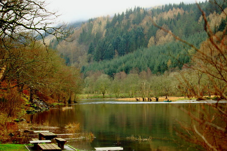 Scenic view of lake in forest during autumn
