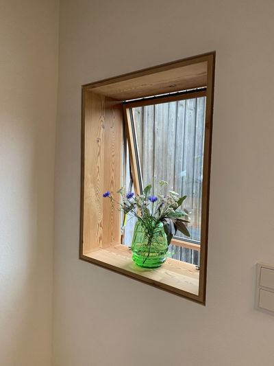 Potted plant by window at home