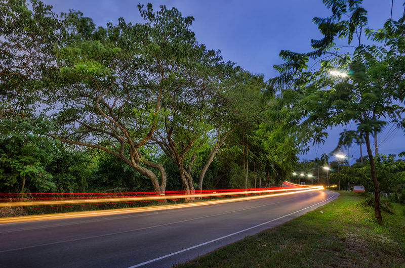 Light trails on street by trees against sky in city