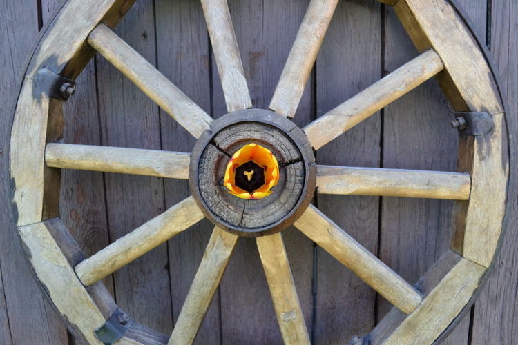 Directly below shot of old wheel