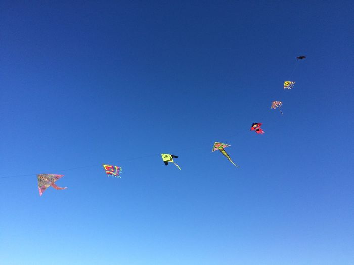 Kites in blue sky