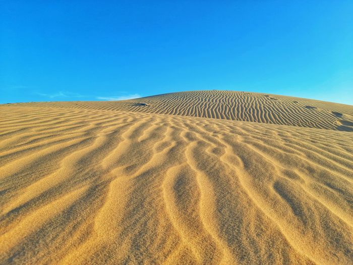 Wave of sand dunes on desert
