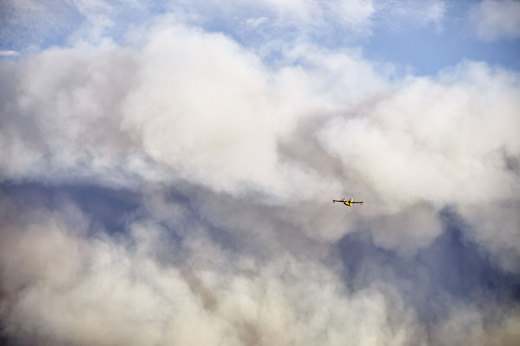 Hydroplane amidst ash clouds working to extinguish a forest fire. natural disaster concept