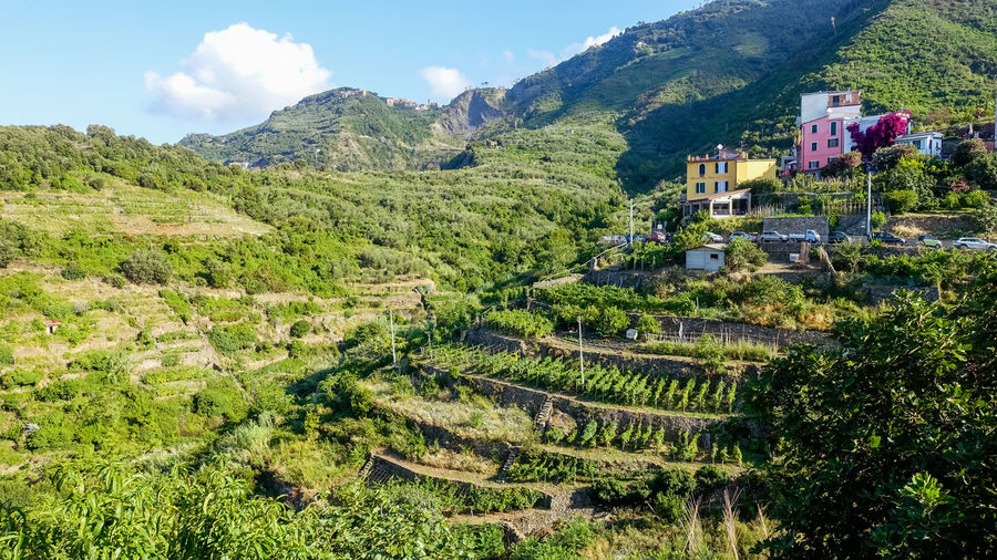 Scenic view of landscape and mountains in corniglia, cinque terre italy 