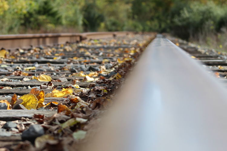 Close-up of railroad track amidst autumn leaves