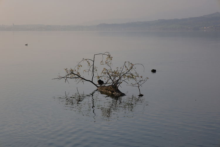 water
