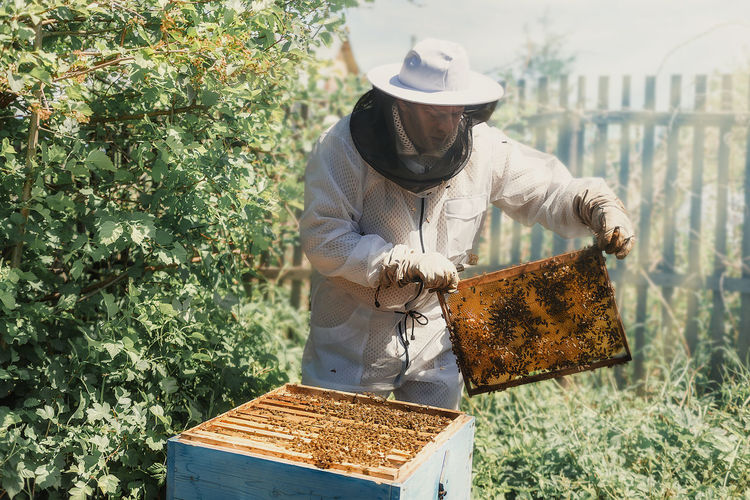 LOW ANGLE VIEW OF MAN WORKING ON PLANTS