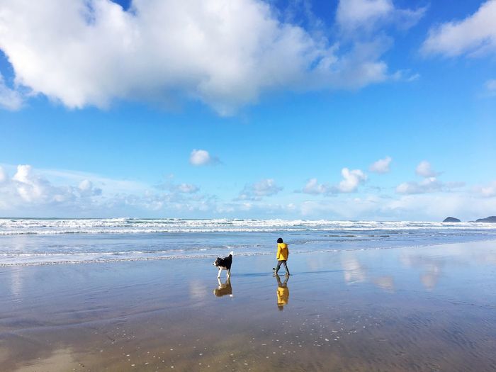 Rear view of boy walking by dog at beach against cloudy sky
