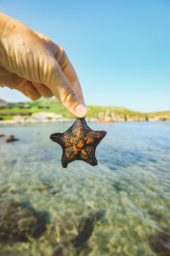 Sea star on human hand, sea on background