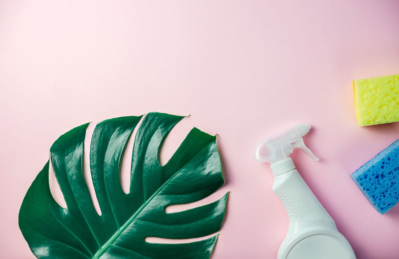 Cleaning sponge and spray on tropical monstera leaf on pink background