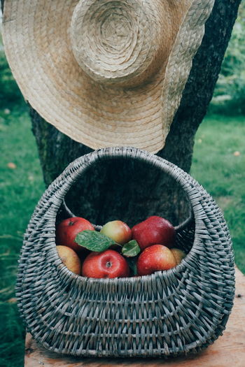 High angle view of apples in basket