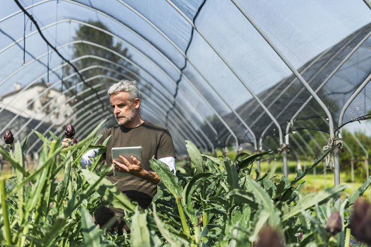 portrait of young man standing amidst plants in greenhouse