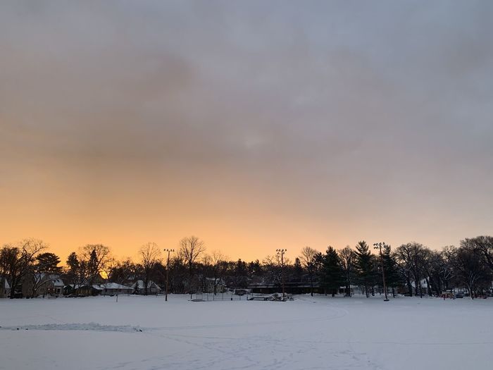 Trees on snow covered field against sky at sunset