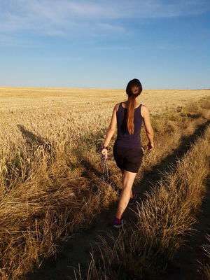 Rear view of woman walking at farm against blue sky