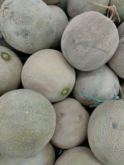 Fruit melon