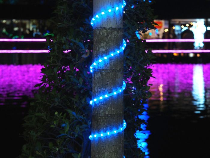 Illuminated christmas tree at night