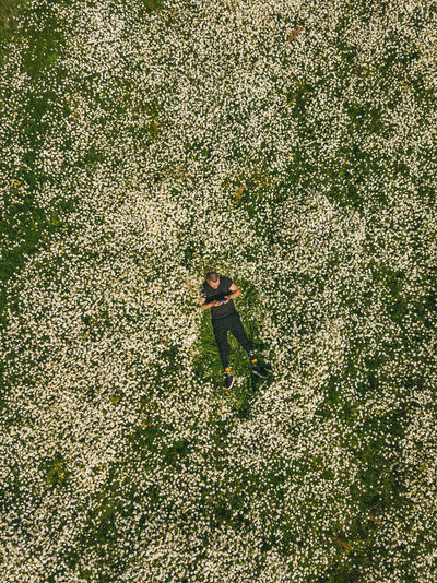 High angle view of man lying in a field of daisies