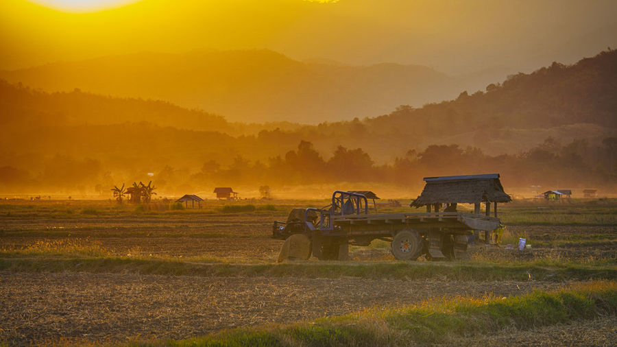 Scenic view of agricultural field against sky during sunset