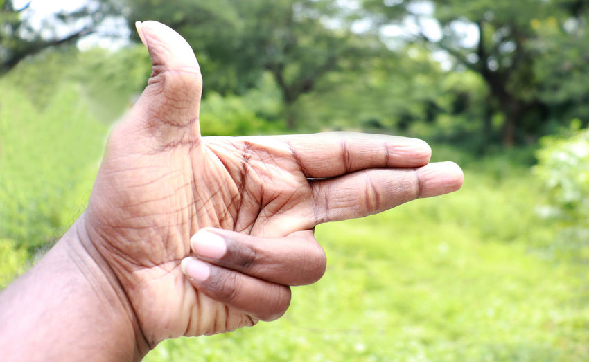 Cropped image of people hand holding plant