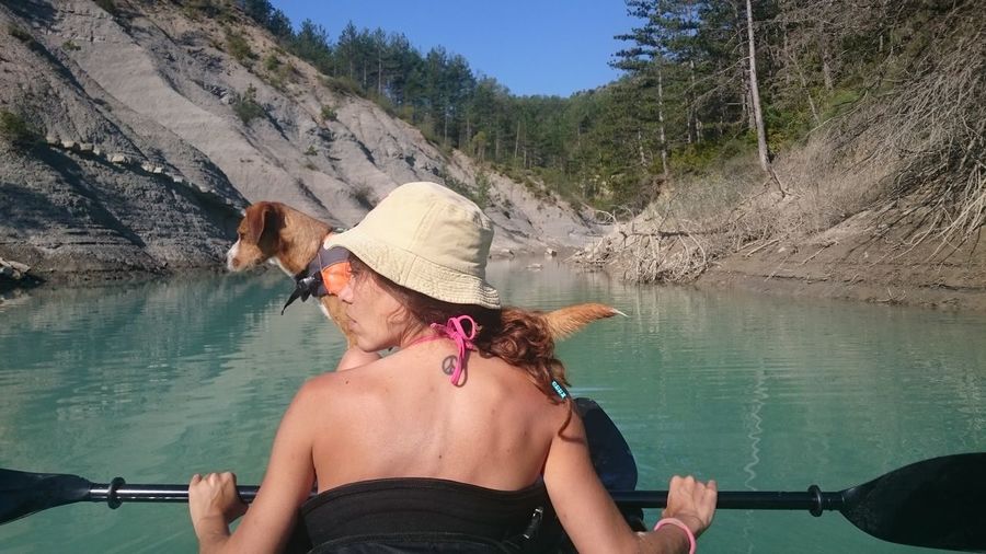 Rear view of woman with dog on boat in river against trees