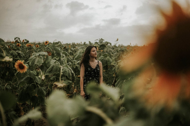 Young woman standing amidst sunflowers on field