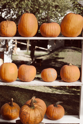 Pumpkins in market stand during autumn