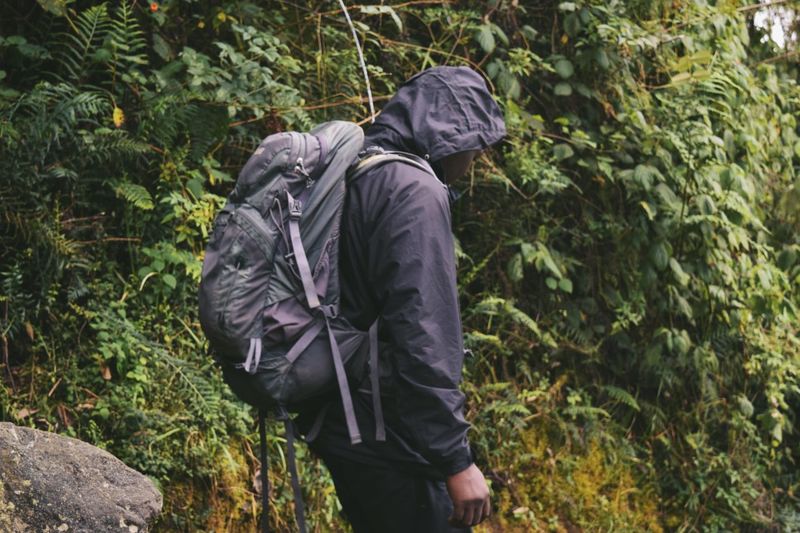 Backpacker in the forest at rwenzori mountains 
