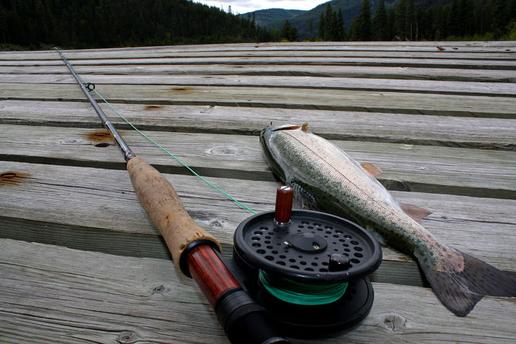 Close-up of fly-fishing rod by fish on boardwalk