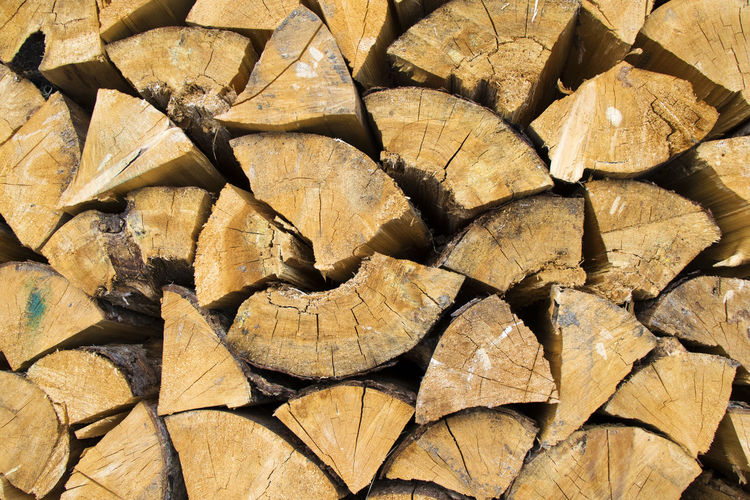 Full frame shot of logs in forest, firewood background and texture