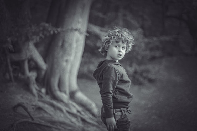 Portrait of cute boy standing on tree