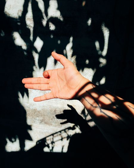 Person gesturing hand shadow puppet